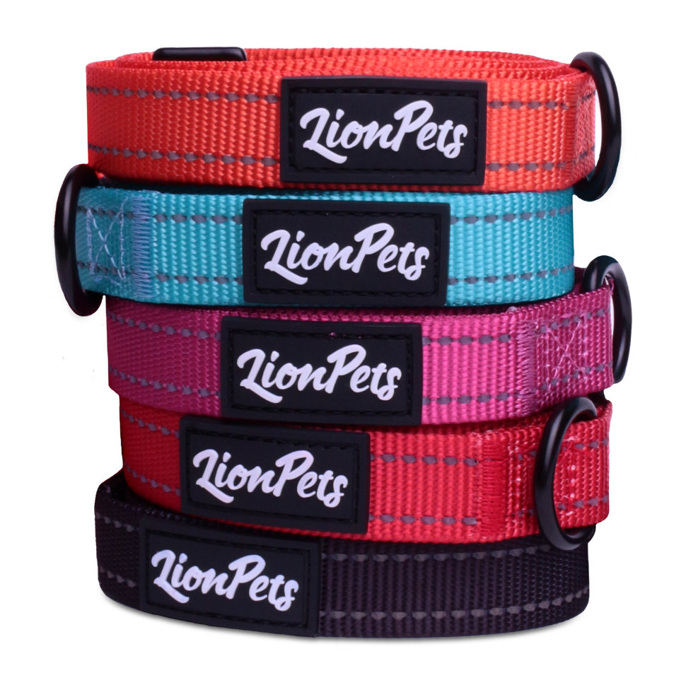 Ошейник для собак LionPets со светоотражающими полосками LPO-00510-5