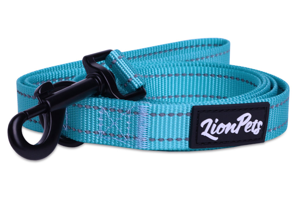 Поводок для собак LionPets со светоотражающими полосками (Бирюзовый) LP-710-4