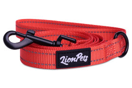 Поводок для собак LionPets со светоотражающими полосками (Оранжевый) LP-710-5