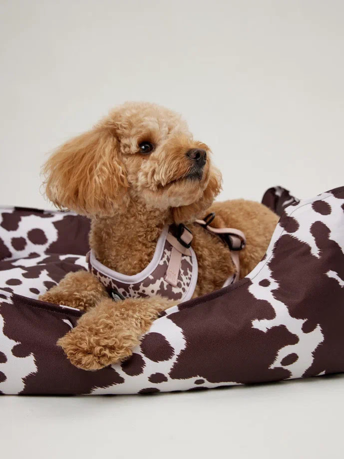 Лежанка LionPets Animal Cow LP2509 Размер: 2 (80х60х20см)