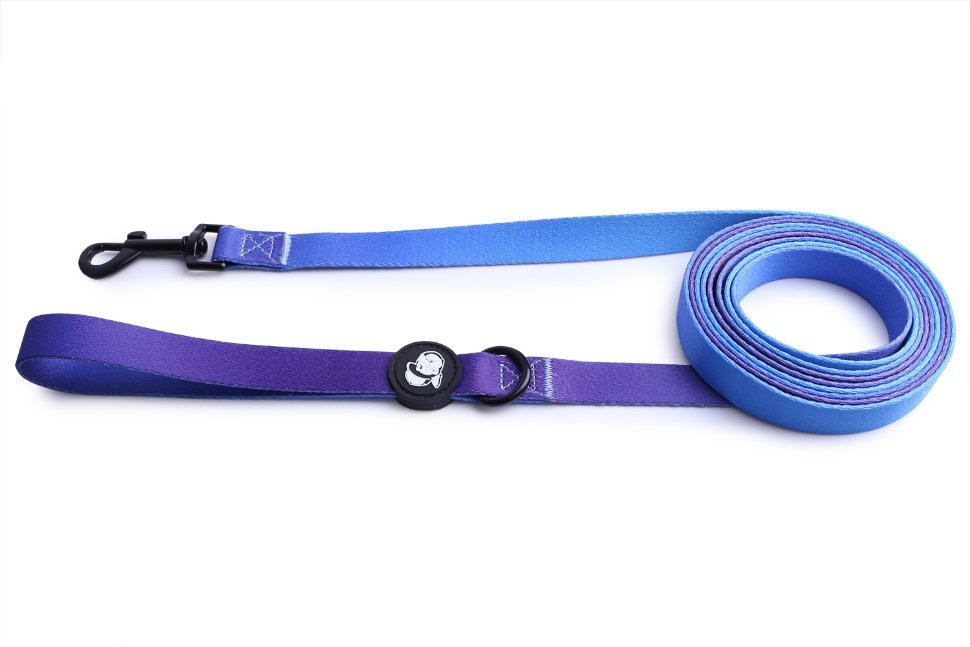 Поводок для собак LionPets с рисунком из полиэстера LP-700-6